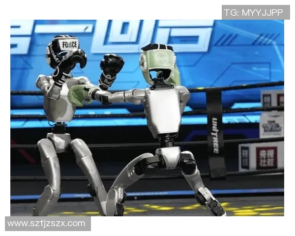 拳王挑战拳击仿真人技术极限真实对抗赛引发热议与期待